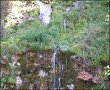 Vara